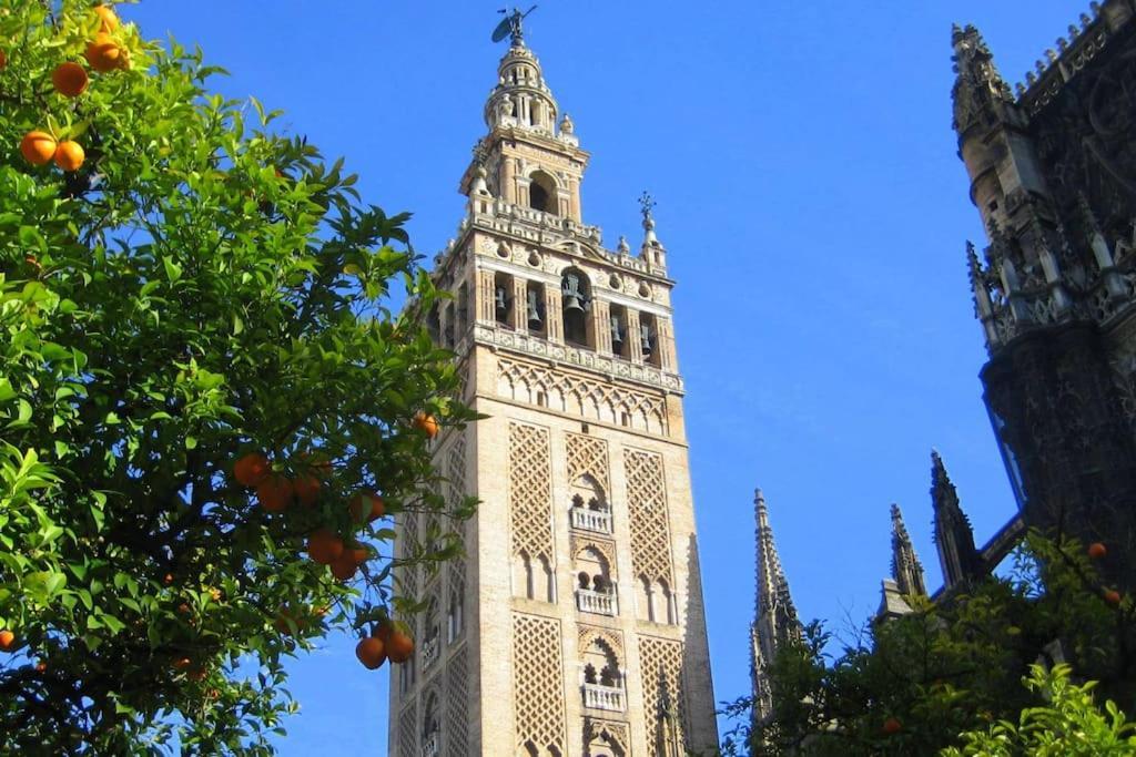 New! Cozy For Couples With Private Patio Sevilla